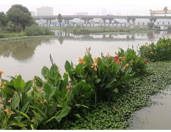 生態(tài)浮島 咨詢熱線：13736125069