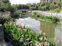 生態(tài)浮島