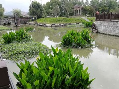 生態(tài)浮島