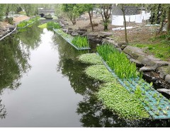 生態(tài)浮島