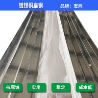 鍍錫銅扁鋼價格